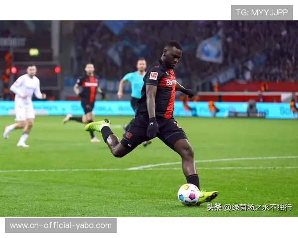 勒沃库森官方宣布:签下贝尔格莱德红星17岁中锋达米亚诺维奇,今夏加盟 勒沃库森官方宣布:签下贝尔格莱德红星17岁中锋达米亚诺维奇,今夏加盟